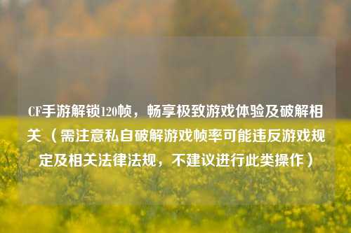 CF手游解锁120帧,畅享极致游戏体验及破解相关 (需注意私自破解游戏帧率可能违反游戏规定及相关法律法规,不建议进行此类操作)