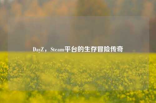 DayZ,Steam平台的生存冒险传奇