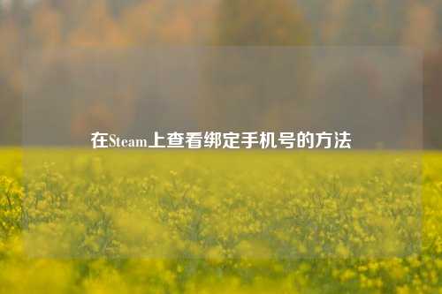 在Steam上查看绑定手机号的 ***