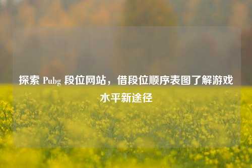 探索 Pubg 段位网站,借段位顺序表图了解游戏水平新途径