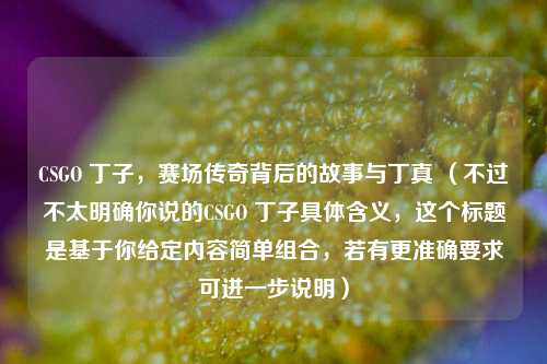 CSGO 丁子,赛场传奇背后的故事与丁真 (不过不太明确你说的CSGO 丁子具体含义,这个标题是基于你给定内容简单组合,若有更准确要求可进一步说明)