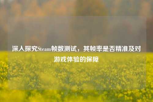 深入探究Steam帧数测试,其帧率是否精准及对游戏体验的保障