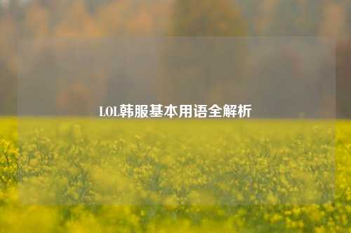 LOL韩服基本用语全解析