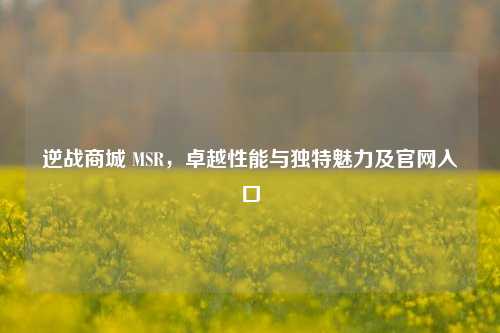 逆战商城 MSR,卓越性能与独特魅力及官网入口