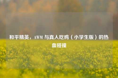 和平精英,AWM 与真人吃鸡(小学生版)的热血碰撞