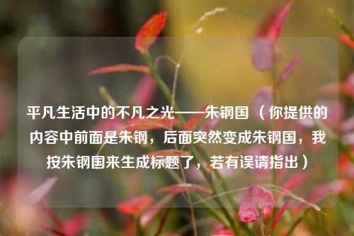 平凡生活中的不凡之光——朱钢国 (你提供的内容中前面是朱钢,后面突然变成朱钢国,我按朱钢国来生成标题了,若有误请指出)