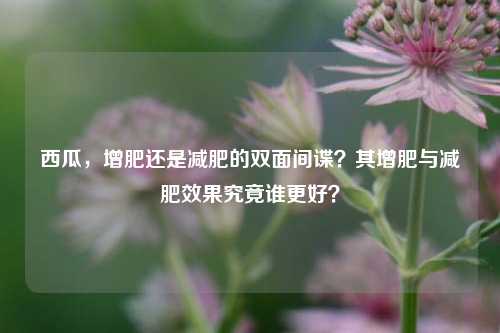 西瓜,增肥还是减肥的双面间谍?其增肥与减肥效果究竟谁更好?