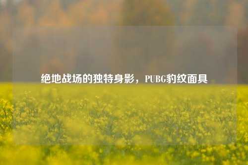 绝地战场的独特身影,PUBG豹纹面具