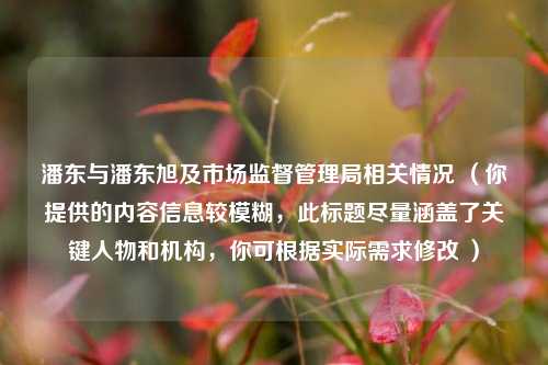 潘东与潘东旭及市场监督管理局相关情况 (你提供的内容信息较模糊,此标题尽量涵盖了关键人物和机构,你可根据实际需求修改 )