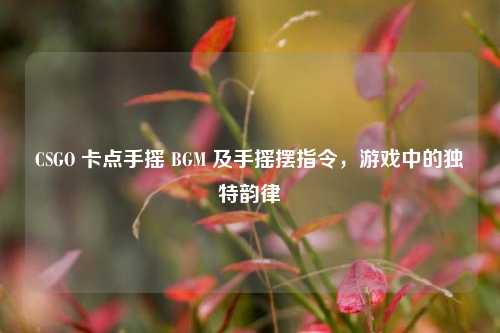 CSGO 卡点手摇 BGM 及手摇摆指令,游戏中的独特韵律