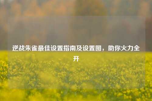 逆战朱雀更佳设置指南及设置图,助你火力全开