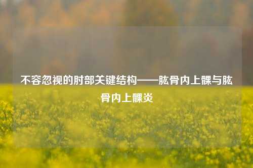 不容忽视的肘部关键结构——肱骨内上髁与肱骨内上髁炎