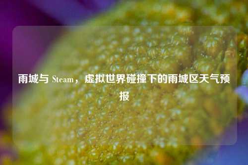 雨城与 Steam,虚拟世界碰撞下的雨城区天气预报