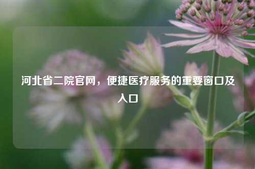 河北省二院官网，便捷医疗服务的重要窗口及入口