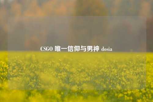 CSGO 唯一信仰与男神 dosia
