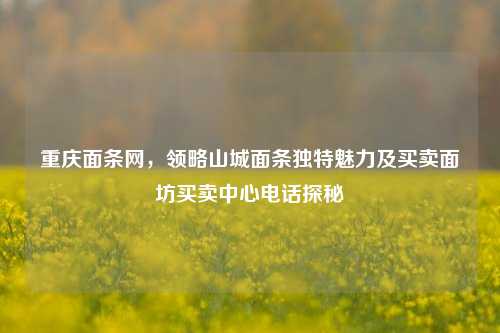 重庆面条网,领略山城面条独特魅力及买卖面坊买卖中心 *** 探秘