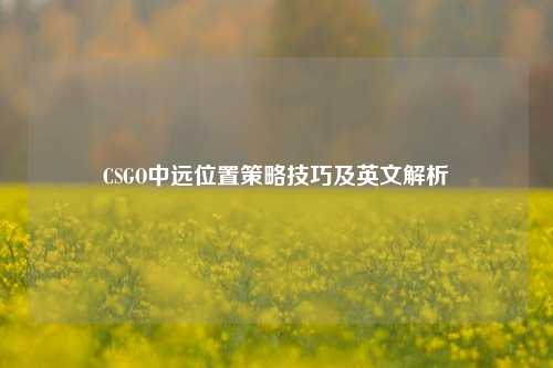 CSGO中远位置策略技巧及英文解析