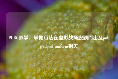 PUBG教学,掌握 *** 在虚拟战场脱颖而出及pubg school uniform相关