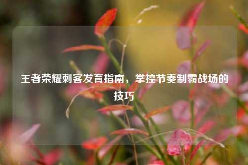 王者荣耀刺客发育指南,掌控节奏制霸战场的技巧