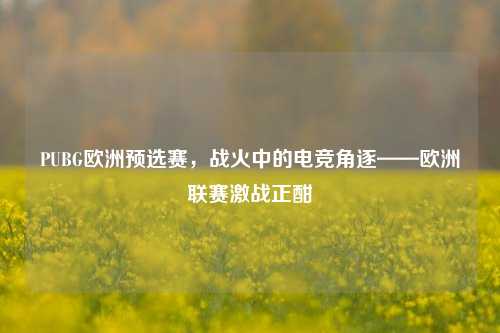 PUBG欧洲预选赛,战火中的电竞角逐——欧洲联赛激战正酣