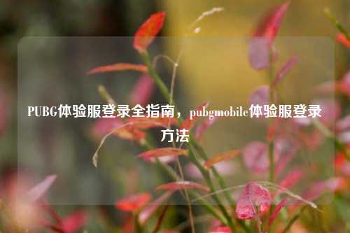 PUBG体验服登录全指南,pubgmobile体验服登录 ***