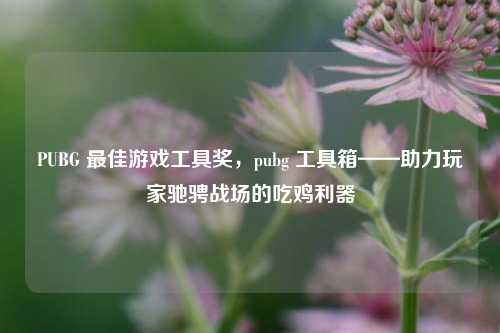 PUBG 更佳游戏工具奖,pubg 工具箱——助力玩家驰骋战场的吃鸡利器