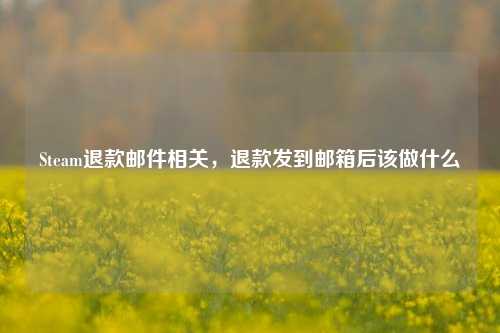 Steam退款邮件相关,退款发到邮箱后该做什么