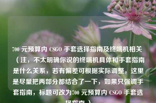 700 元预算内 CSGO 手套选择指南及终端机相关 (注,不太明确你说的终端机具体和手套指南是什么关系,若有偏差可根据实际调整,这里是尽量把两部分都结合了一下,如果只强调手套指南,标题可改为700 元预算内 CSGO 手套选择指南 )